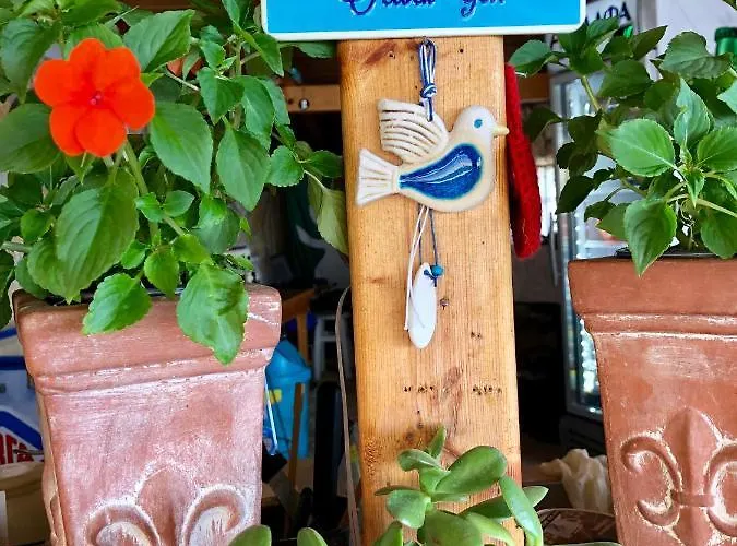 Sarantos Pool Lakithra